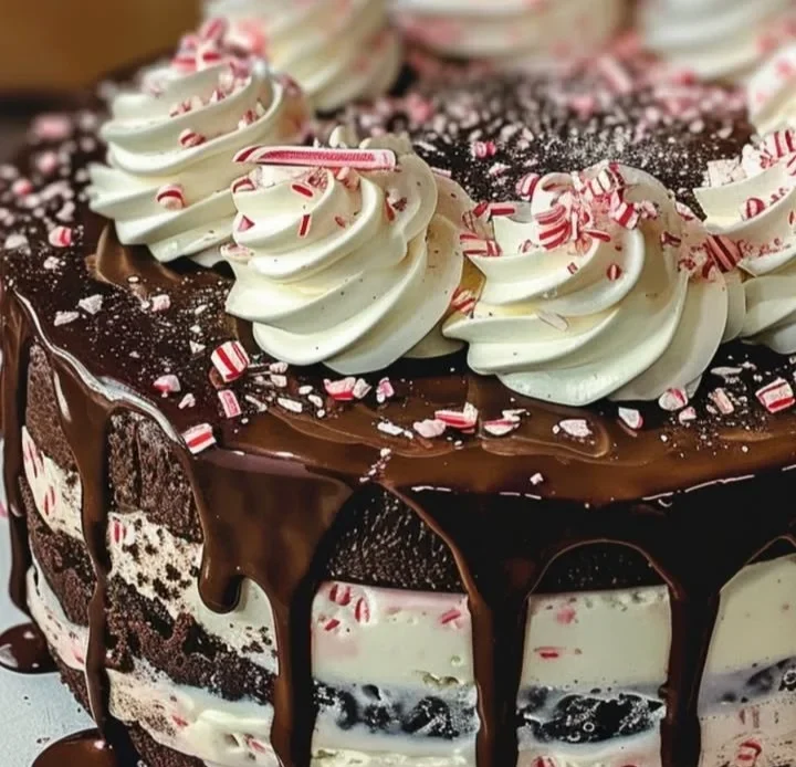 Chocolate peppermint ice cream cake topped with festive chocolate and mint decorations